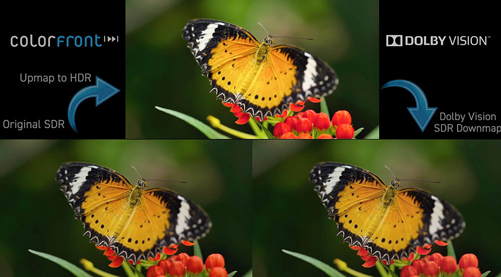 Colorfront Dolby Vision SDR to HDR Butterfly