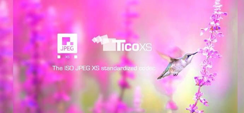 Net insight intopix TICO XS