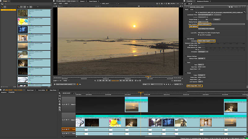 Nuke 14 ARRI Sony RED SDK