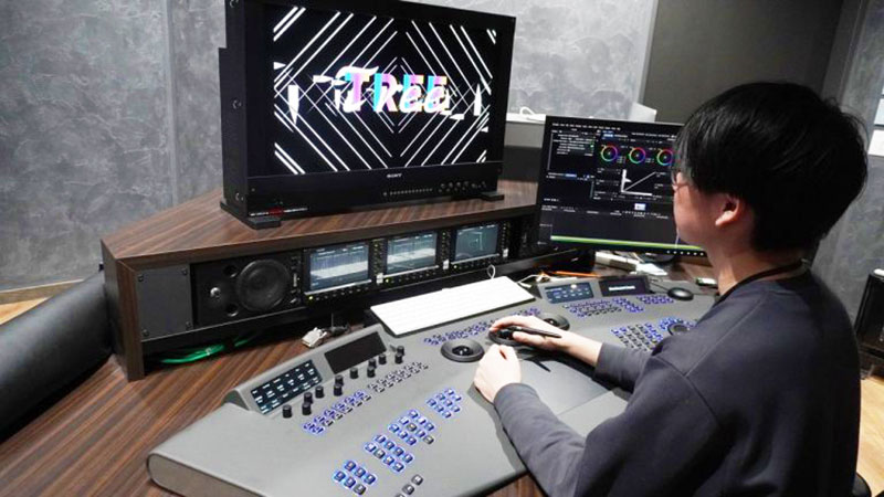 TREE Digital Studio Expands its Colour Workflow with Baselight M Filmight Baselight m TREE3
