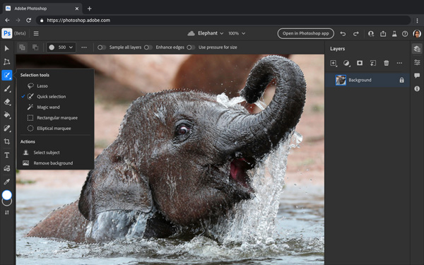 Adobe Photoshop on the web Editing