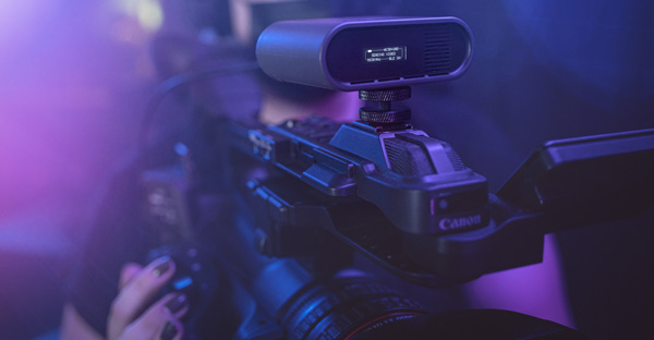 Teradek Spark 6