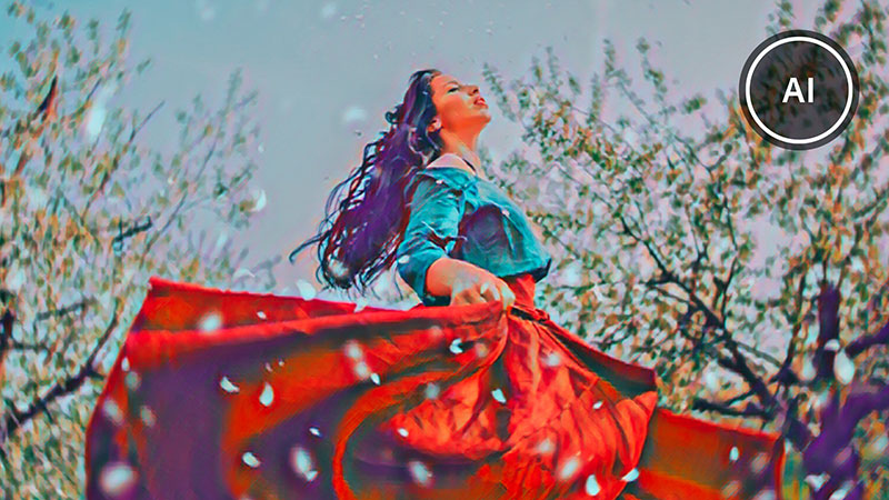Adobe PRE Artistic Effect