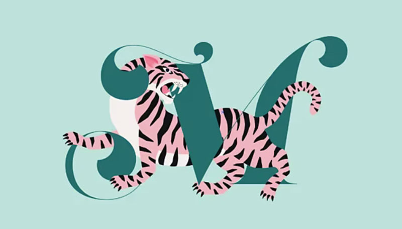 Adobe illustrator2