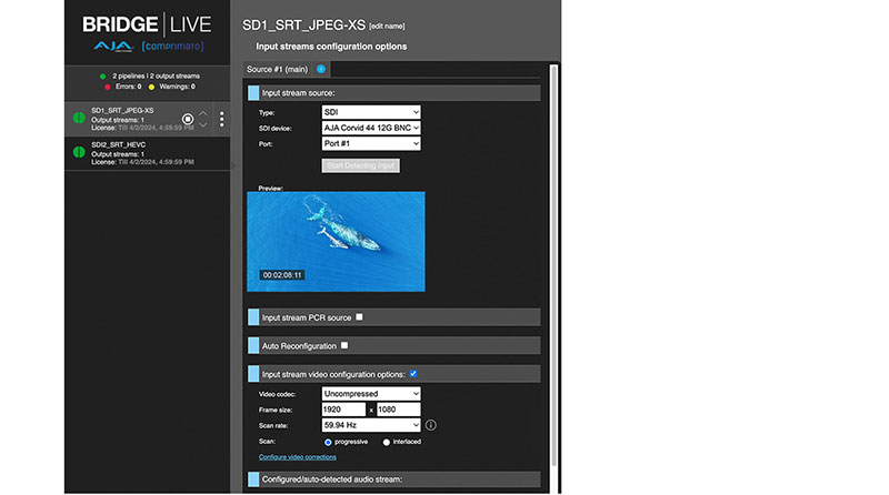 AJA bridge live protocols