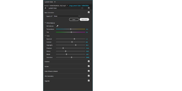 Adobe Premiere Pro Auto Tone Beta sliders