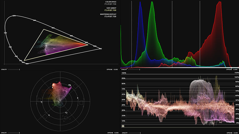 Marquise scopes image