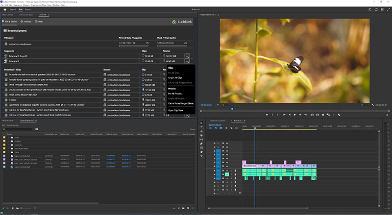 LucidLink panel for premiere pro