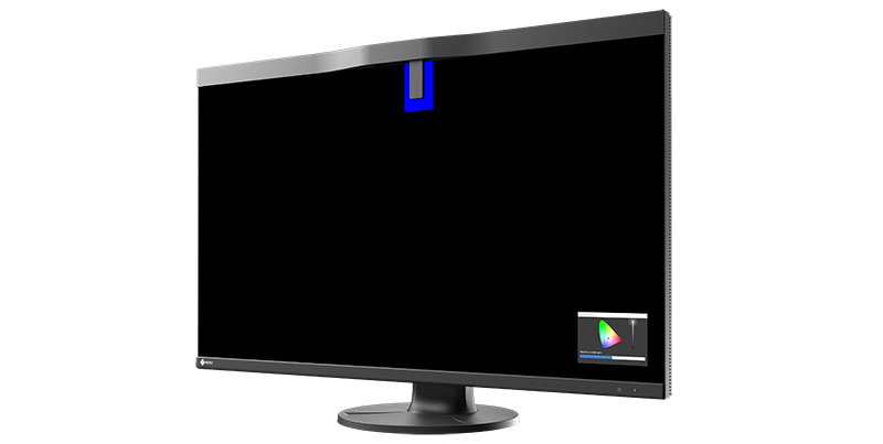 EIZO CG3200X sensor l en