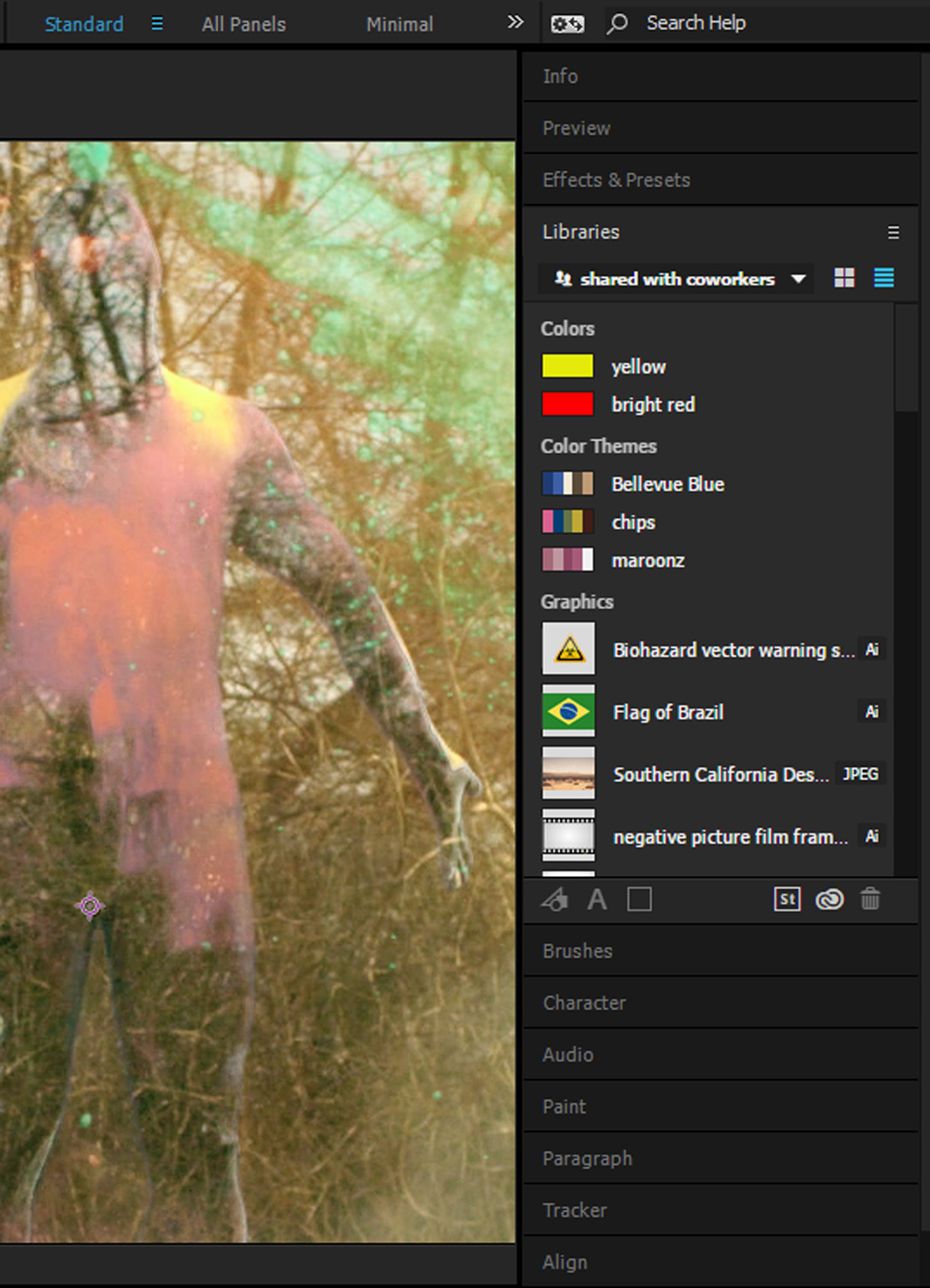 Adobe Libraries After Effects