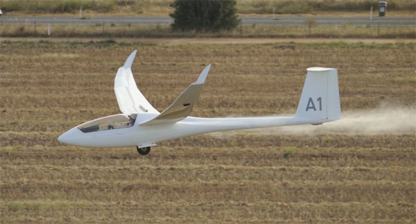 a1