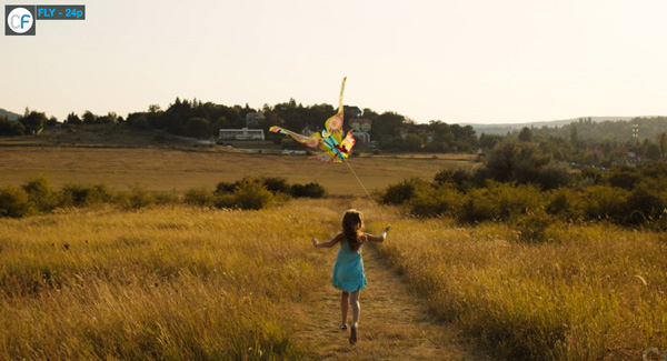 Colorfront fly