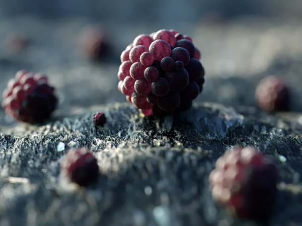 Maxon C4d r19 David Brodeur2