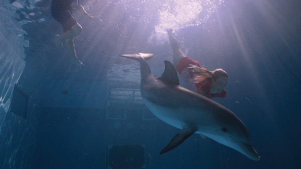 Spin-vfx-dolphin-tale3