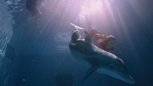 Spin-vfx-dolphin-tale4