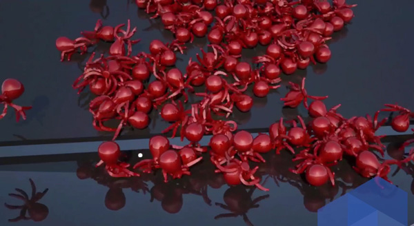 Realflow dyverso elastic