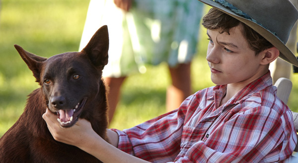 Blackmagic resolve red dog