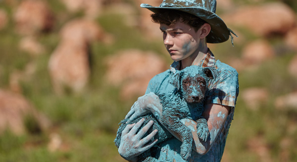 Blackmagic resolve red dog3