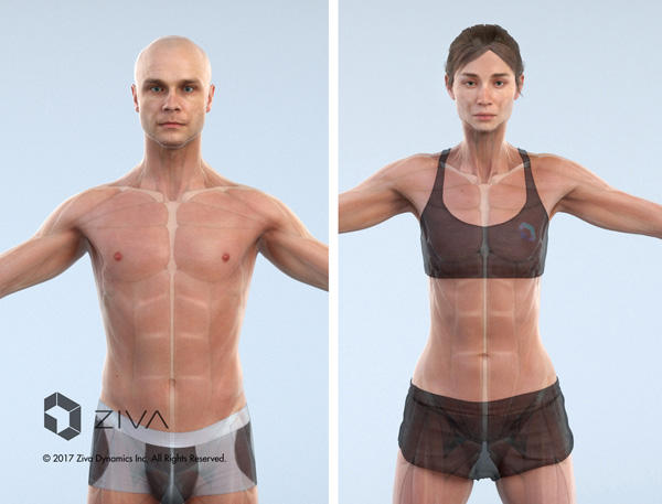 Ziva VFX 1 5 max adalogo