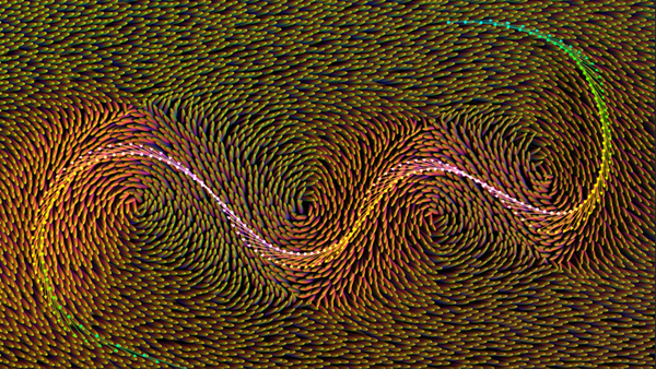 Autodesk maya 2020 4 bifrost curves strands 2