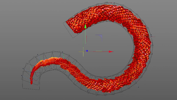 C4D Adobe China tail