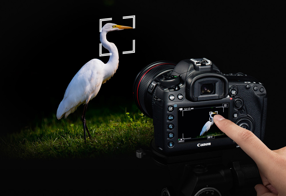 Quantum Canon EOS 5D Mark IV