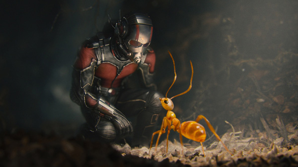 Chaos film vray maya