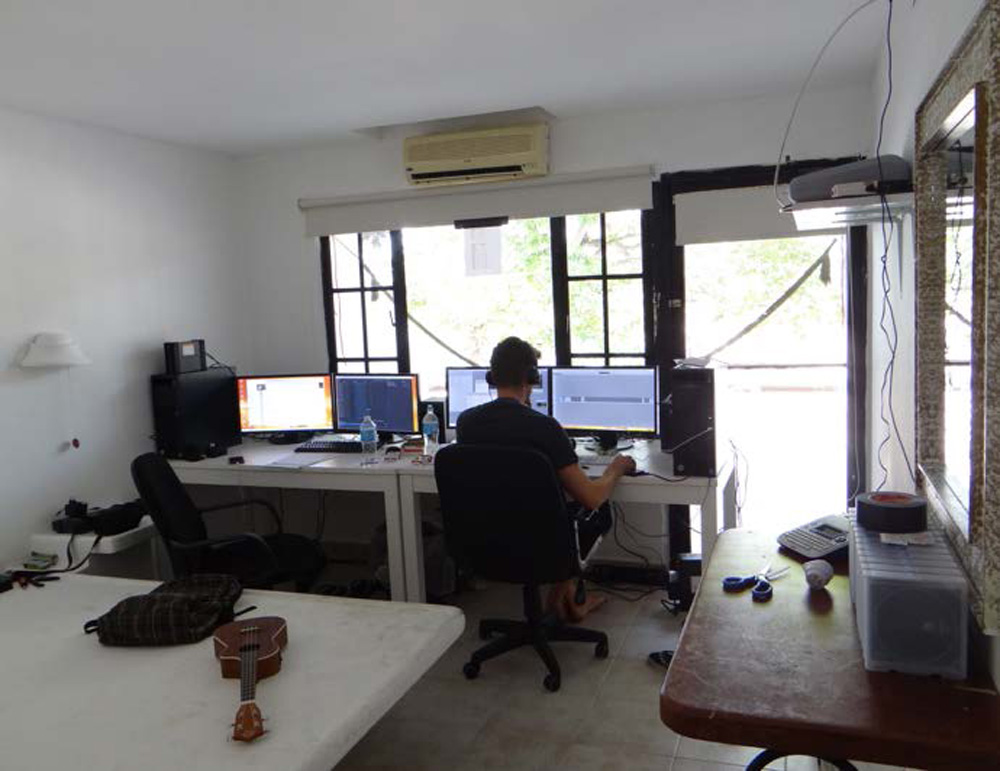 EditShare Wild island3