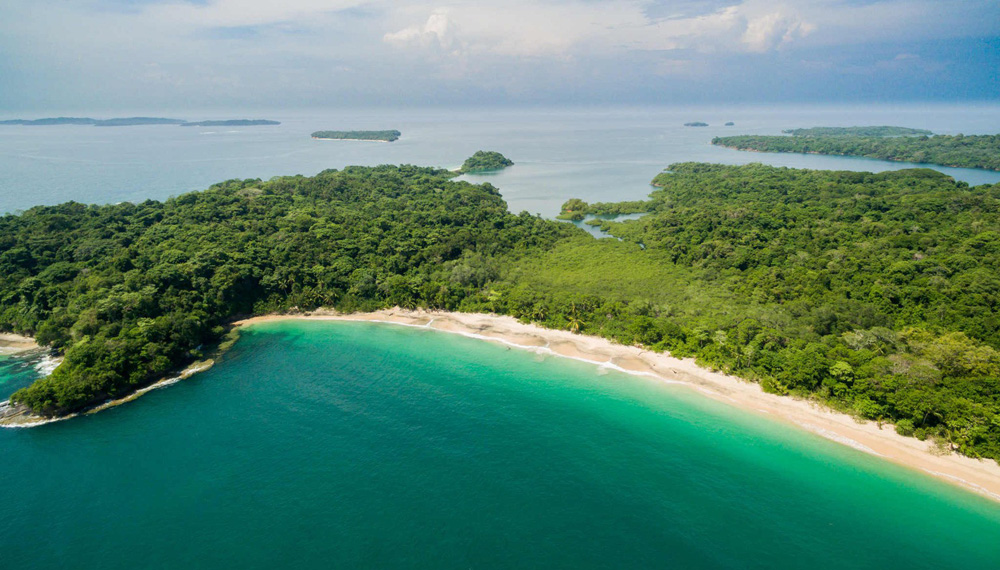 EditShare Wild island6
