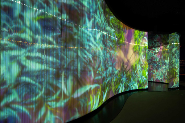Sequence billabong installation2