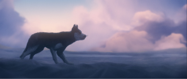 Giant Bear ed films 306