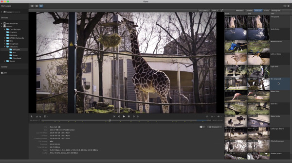 Kyno filmmaking