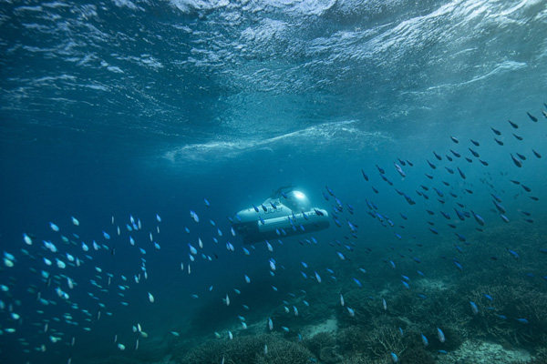 EditShare scuber gtbarrier reef