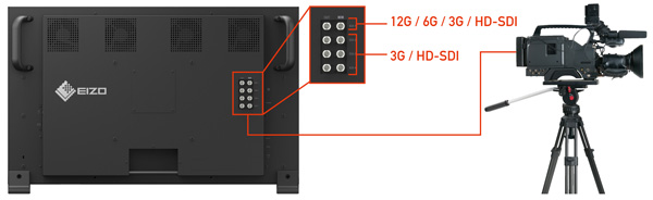Eizo CG3146 SDI link