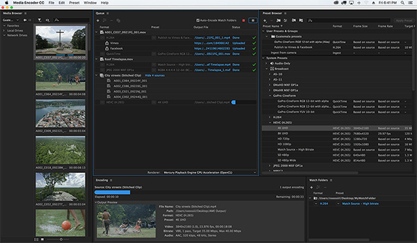 Veriscope adobe media encoder