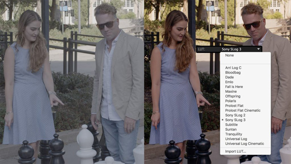MBL Colorista LUTs