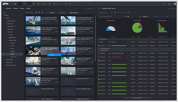 Avid MC AssetManagement