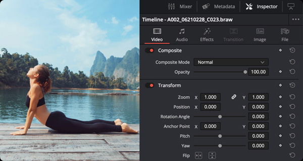 Blackmagic davinci resolve 17 inspector