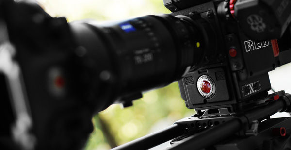RED 8K dragon