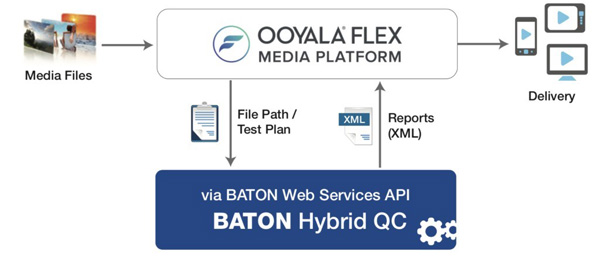 Dalet ooyalaflex BATON
