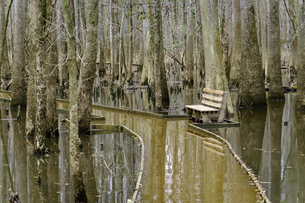 LaCie national parks Congaree