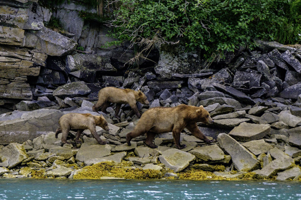 LaCie national parks Katmai