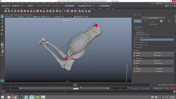 Ziva VFX 1 7 muscle1