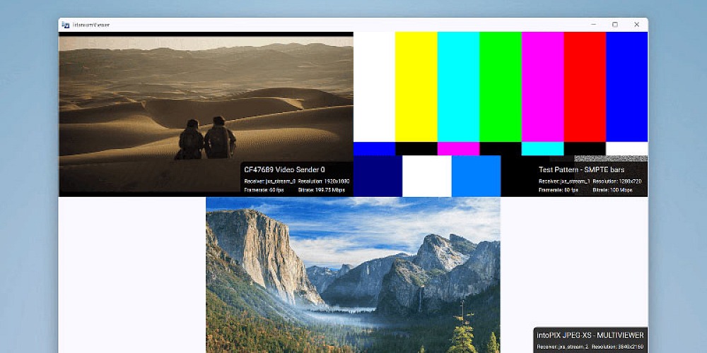 intoPIX overlay Viewer