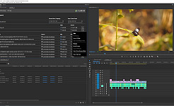 LucidLink panel for premiere pro