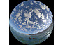 Planetarium-seaotterKelpForestFulldome1