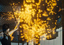 200HungerGames-catchfire-fuelvfx13