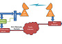 RIST Satellite Hybrid setup